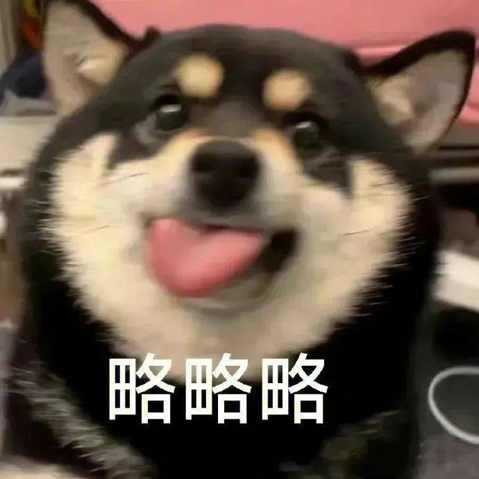 摸鱼协会理事长