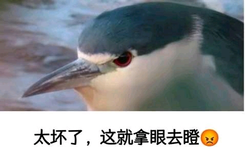 给火山口塞冰块