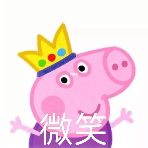 肥宅快乐水供应商