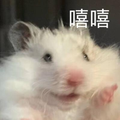 这河里吗这恒河里