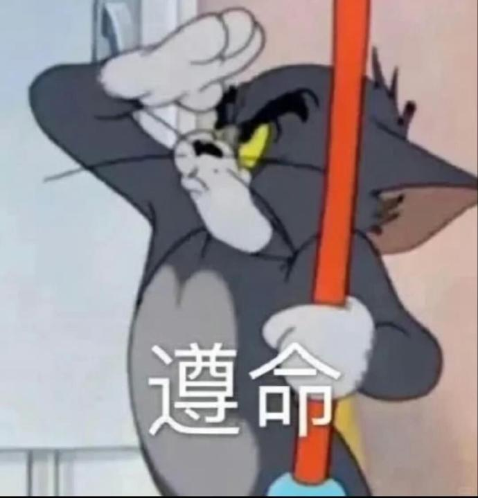 鸭子划水指挥部