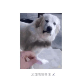 求这个的GIF